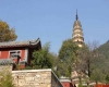 1600岁的灵岩寺：历史赠与济南的无价瑰宝