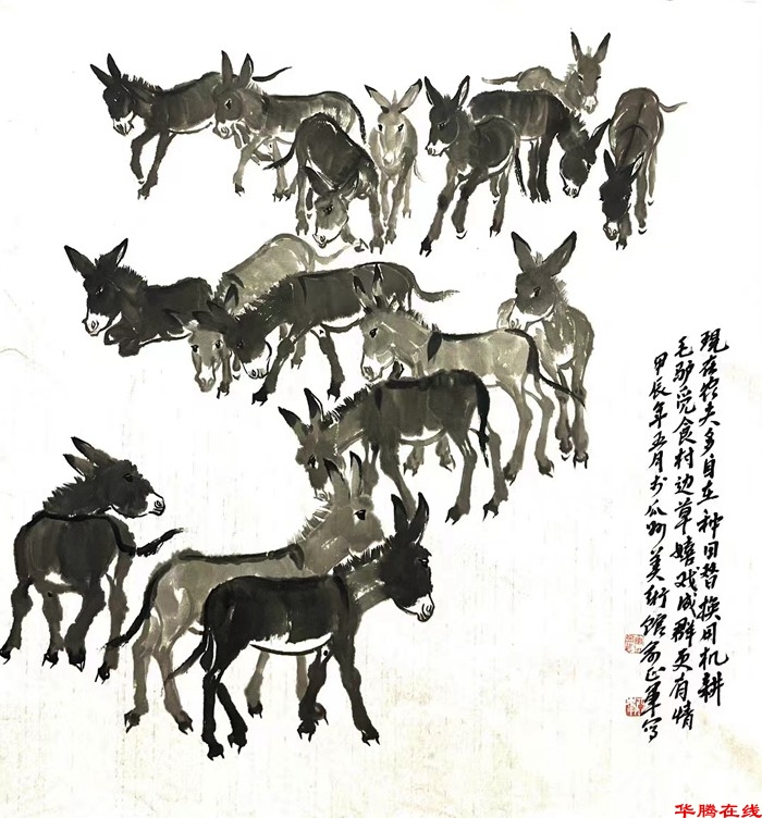 QQ图片20240522072453